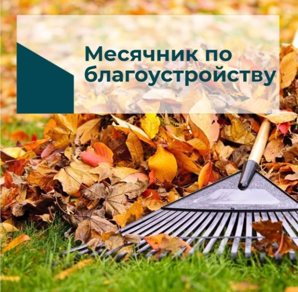 Месячник по благоустройству!. Месячник по благоустройству!.